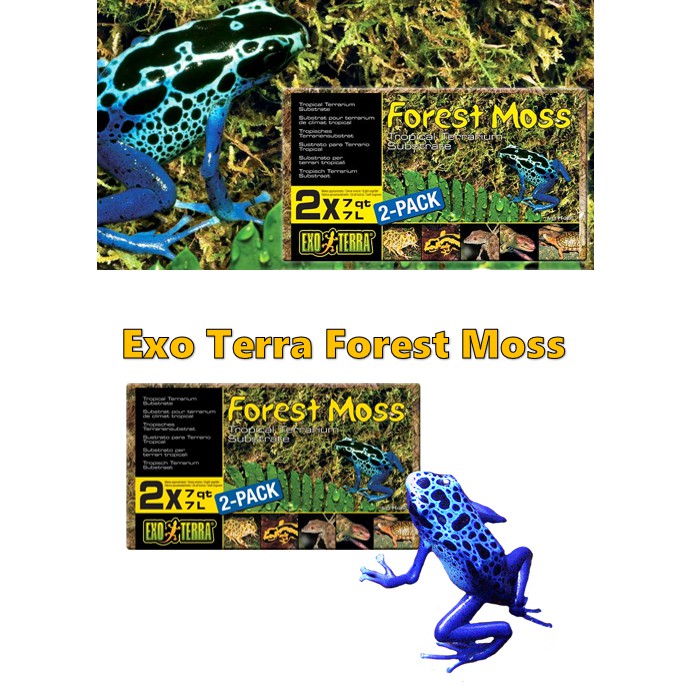 Exo Terra - Exo Terra Forest Moss is real compressed moss