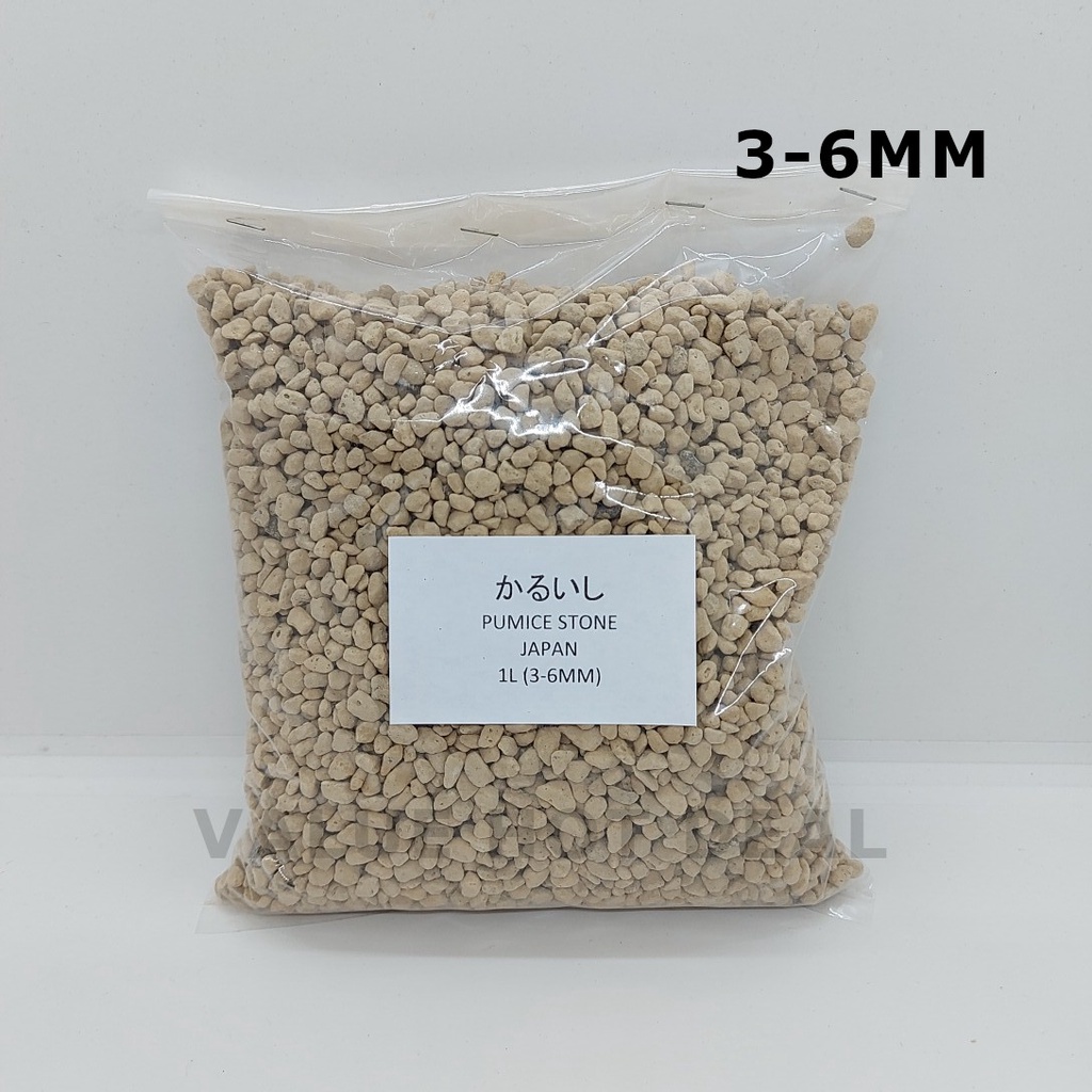 Volcanic Pumice Stones For Potting Plants (JAPAN / CHINA) Shopee