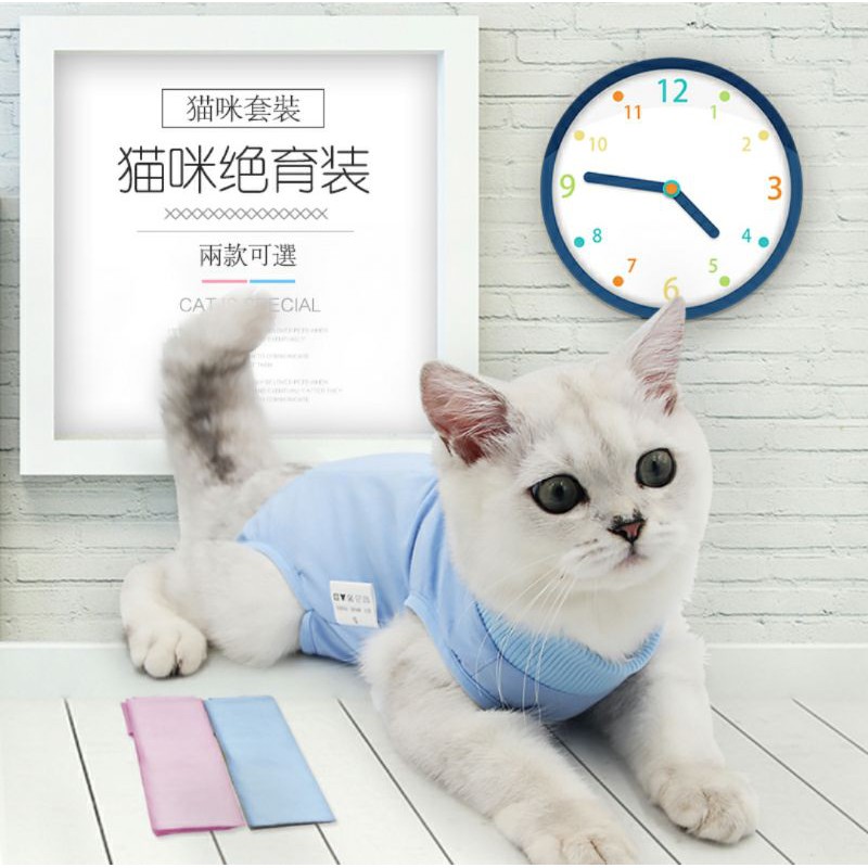 [SG] Pet Cat surgery suit cloth for recovery from sterilization skin ...