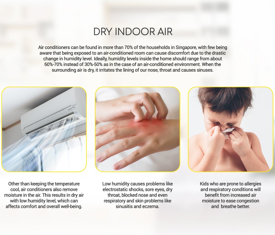 novita Humidifier NH810 Bundle with Air Purifying Solution Concentrate ...