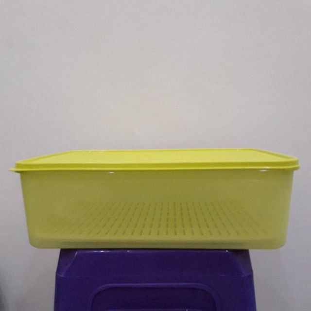 Tupperware Modular Keeper with Grid | Shopee Singapore