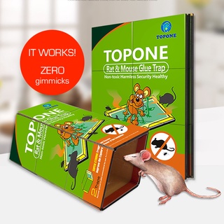 Why Your Rat Trap May Not Work – Ratsense Singapore