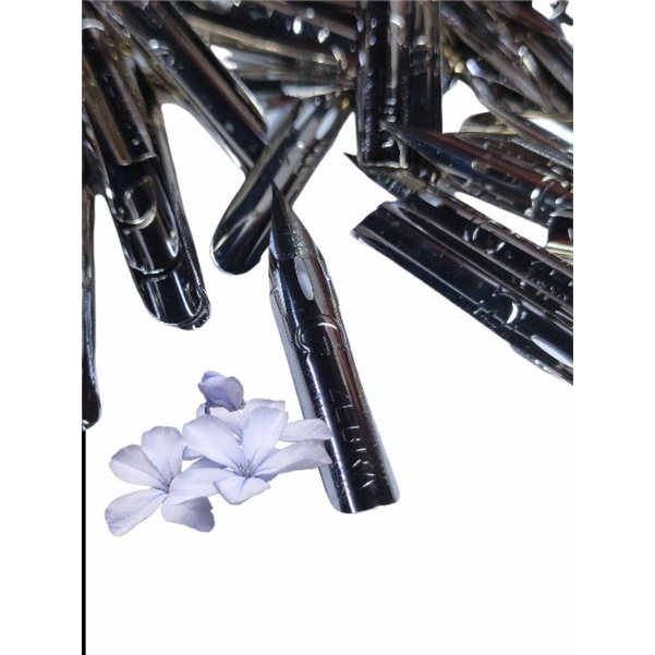 Zebra Nibs Shopee Singapore