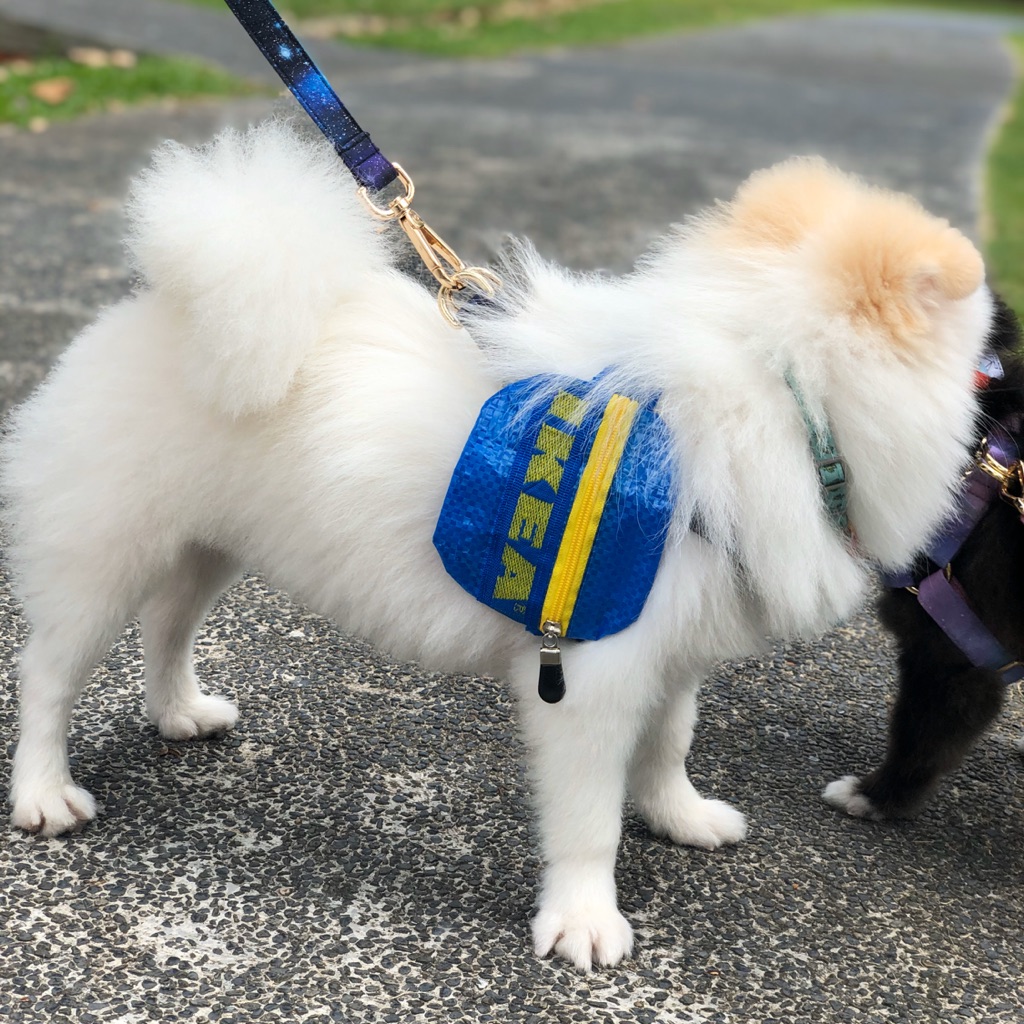 Ikea store dog leash