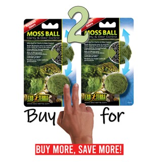 EXO TERRA MOSS BALL / CLARITY & ODOR CONTROL- PT2478