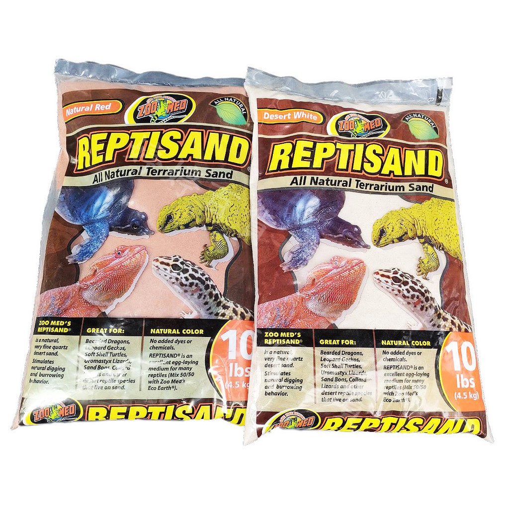 ZM American Zoomed Sand Climbing Reptile Bottom Gecko Chow King Lizard