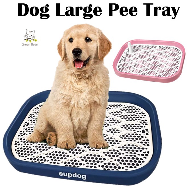 Large Dog Pee Tray / Pets / Dog Toilet / Training / Urine Tray / Litter