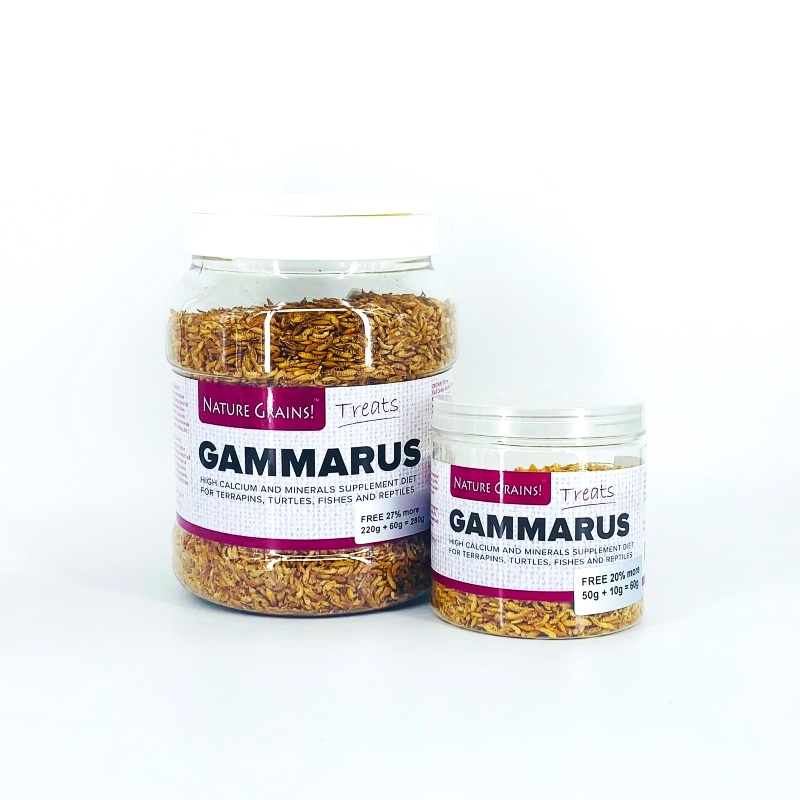 Nature Grains! Gammarus (50/220g) | Shopee Singapore