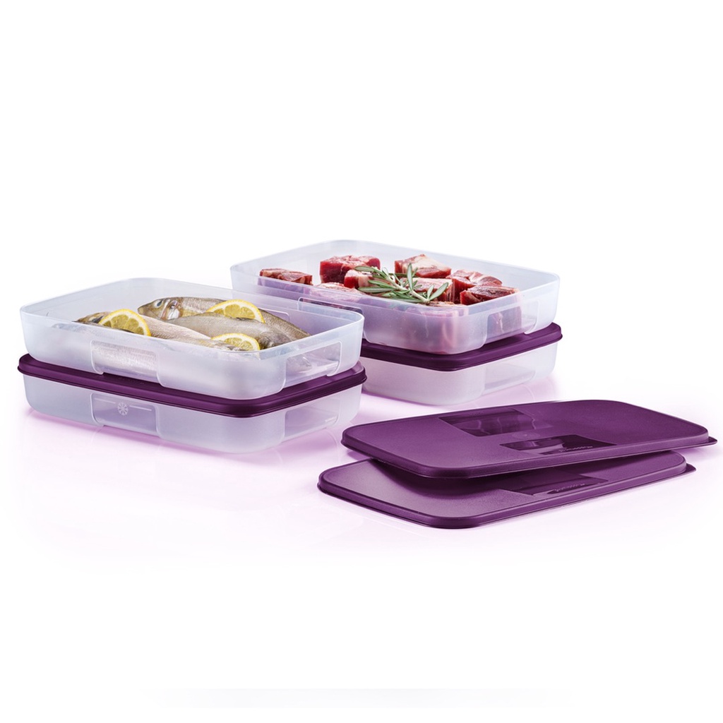 Tupperware FreezerMate Medium I 550ml (2pcs) | Shopee Singapore