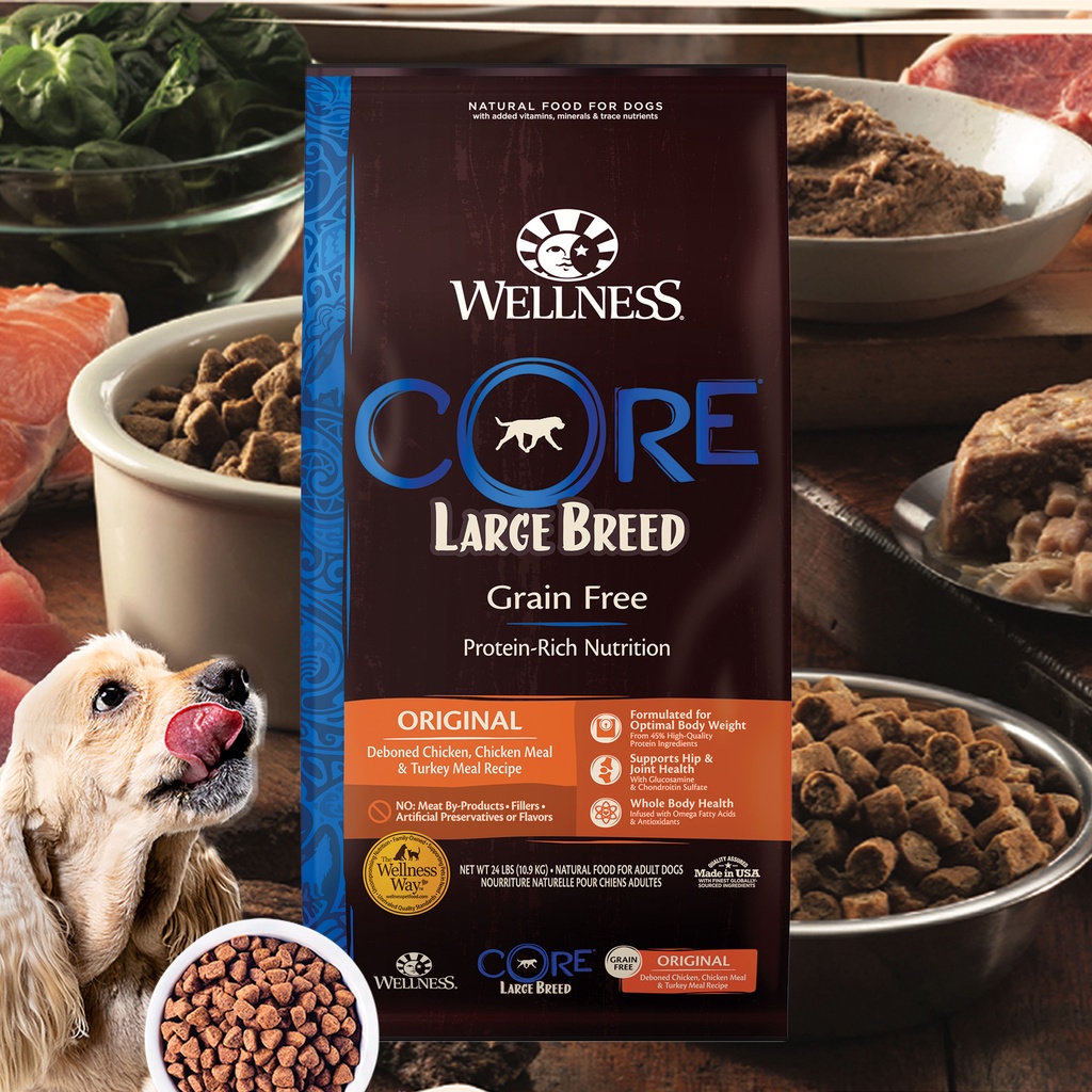 Wellness CORE Large Breed Puppy Dry Dog Food