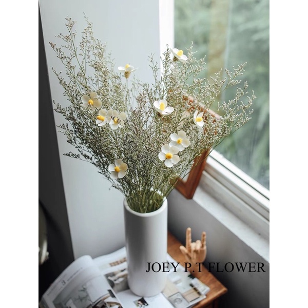 [SG READY STOCKS] Preserved Flower Wholesaler：Preserved Caspia、Violet By Hand