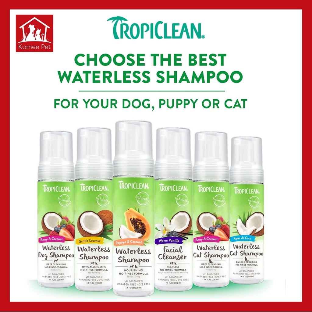 Tropiclean waterless 2024 dog shampoo