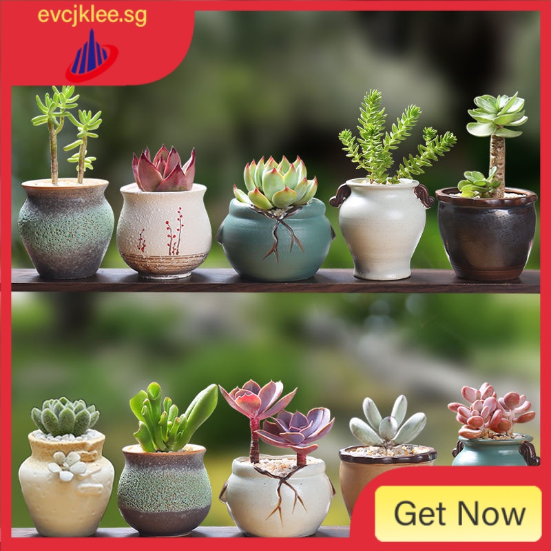 Planter Box Container Decorative Fleshy Plant Succulent Pot Flower