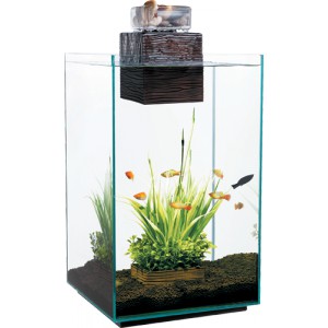 Fluval chi accessories best sale