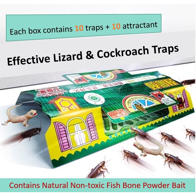 Effective Safe Lizard (Cicak) & Roach Smart Trap (1 trap) | Shopee ...