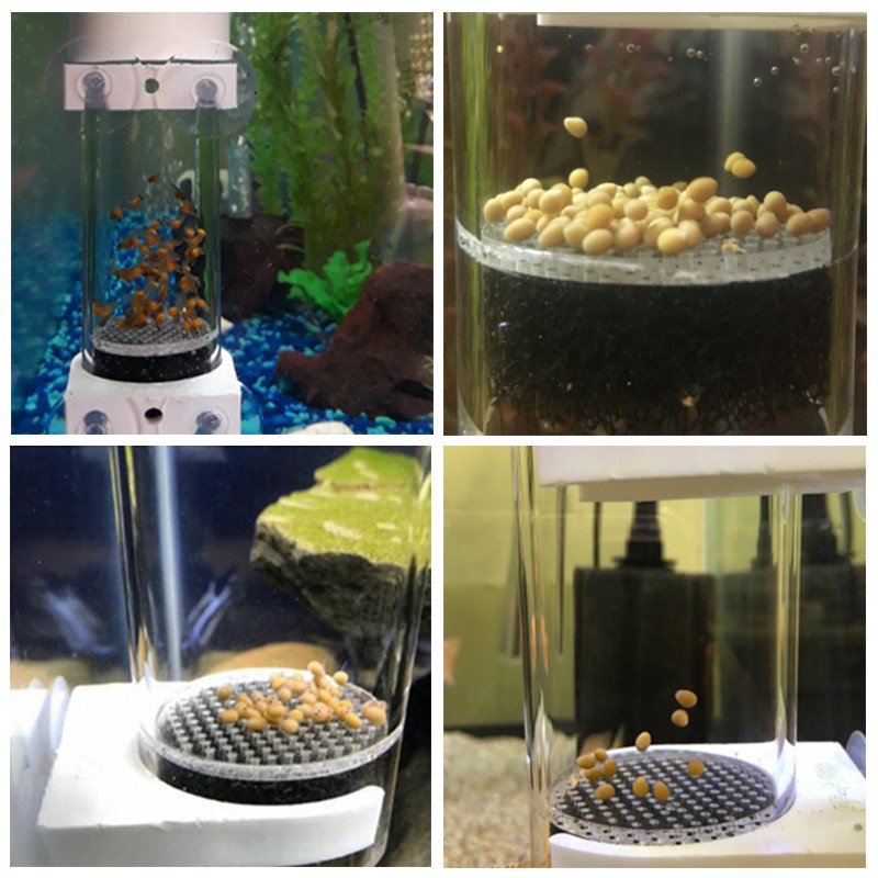 🐟 Senzeal Aquarium Cichlids Fish Egg Incubator Tumbler Fish Hatchery Mouth -Brooding40/50mm Fish tank incubator