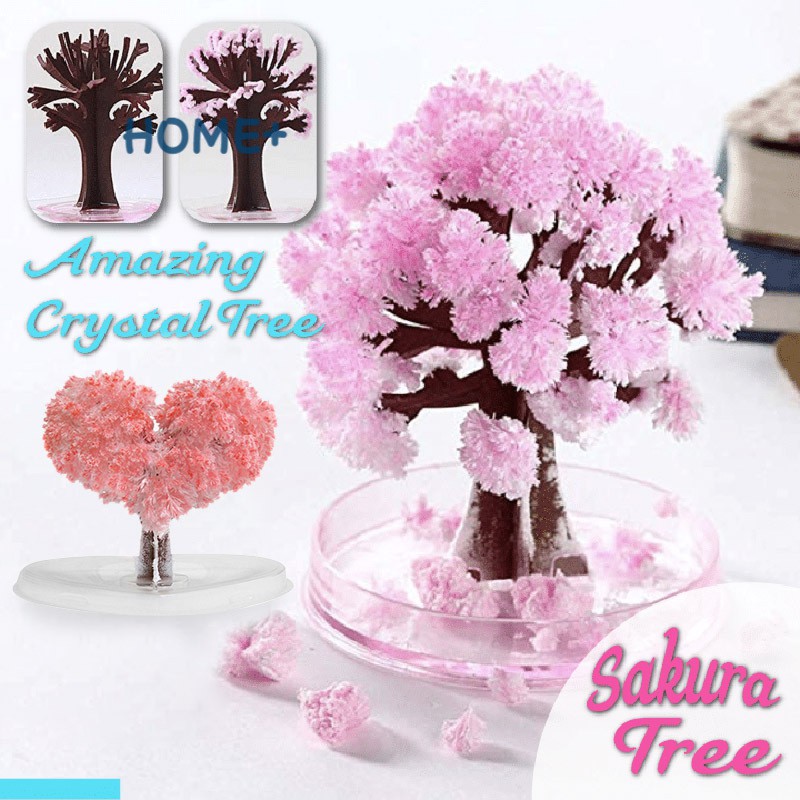 Ts Magic Growing Tree Paper Sakura Crystal Trees Desktop Cherry Blossom ...