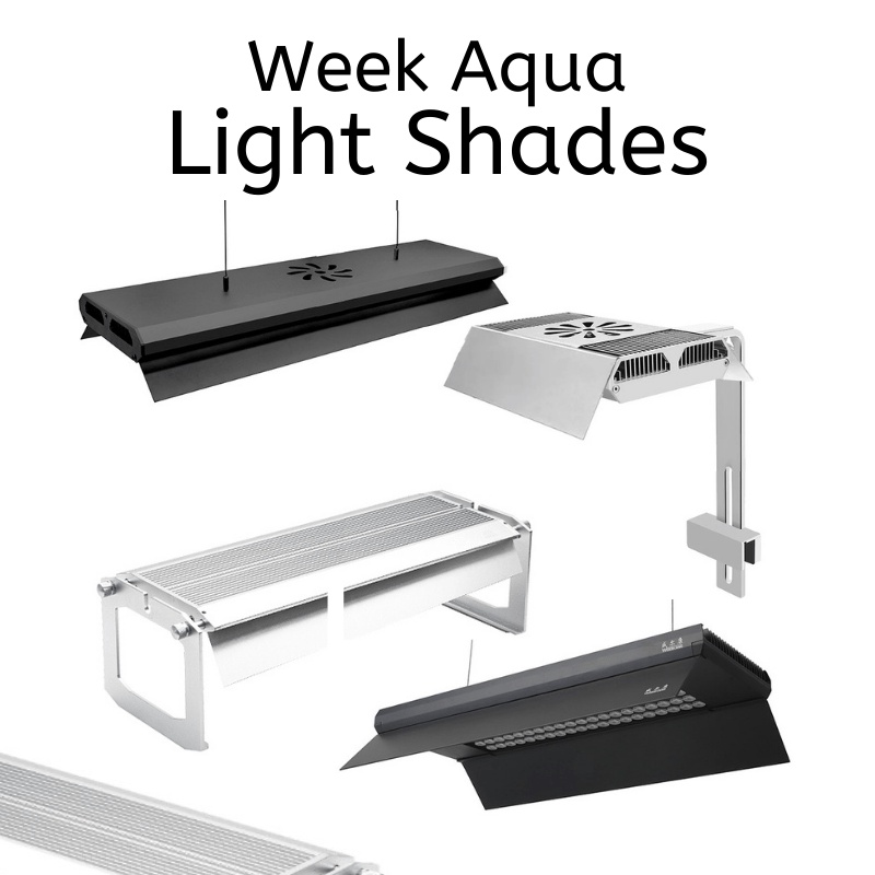 Week Aqua - Light Shades (L/M/P/Z - Series) | Shopee Singapore