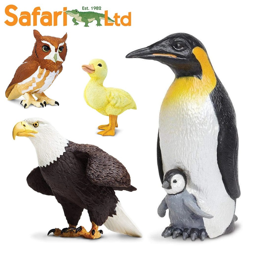 Safari Ltd Birds Series Incredible Creatures Toys (Duckling, Eastern ...