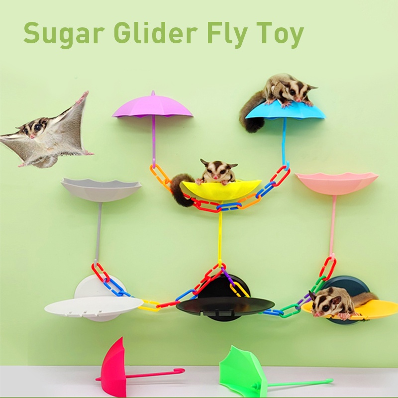 Sugar Gliders Toy Flying Toy Swing DIY Pet Sugar GlidersTraining