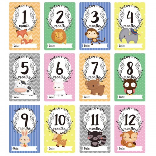 Woodland Animals Baby Milestone Cards (12 pcs) | Shopee Singapore
