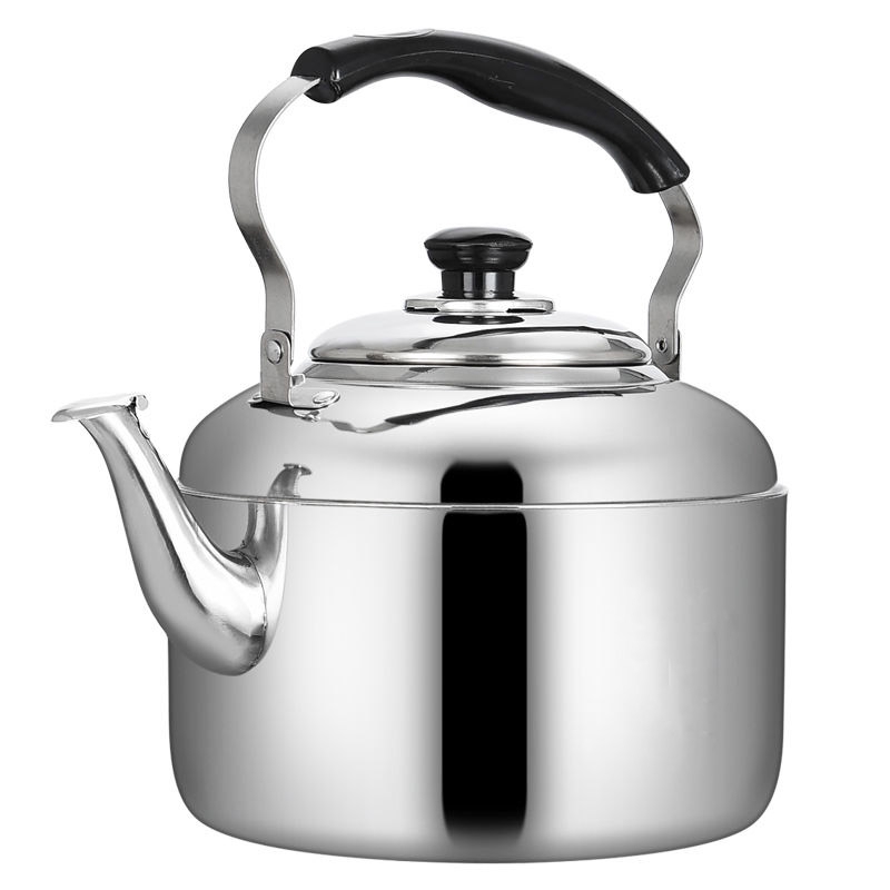 Electric 2025 whistling kettle