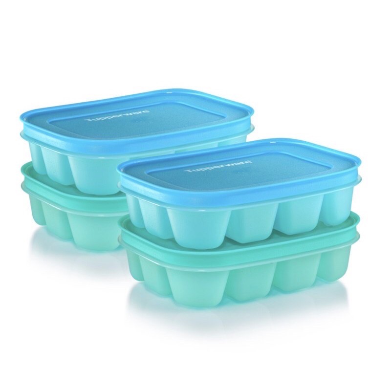 TUPPERWARE Ice Tray With Lid | Baby Food Storage Bekas Ais Bertutup ...
