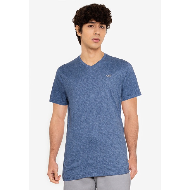 Hollisterco sg sale