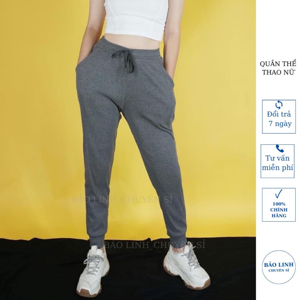 Knit Jogger