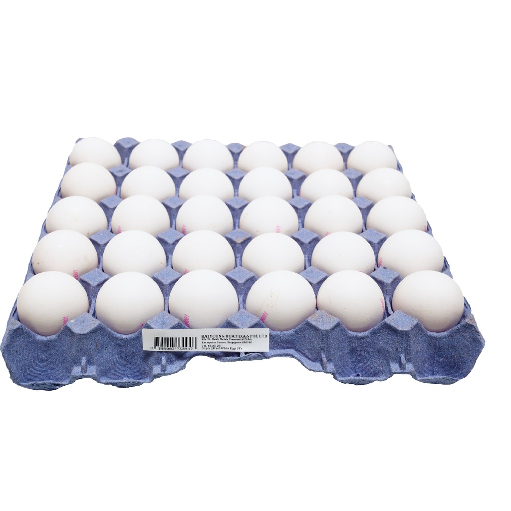 FRESH WHITE EGG (TRAY) Shopee Singapore