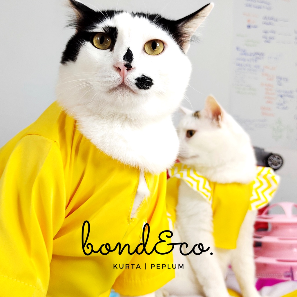 Kurta Male Cat Clothes Local SELLER Shopee Singapore