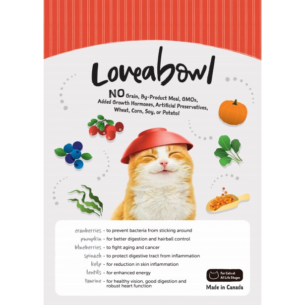 Loveabowl Cat Kibble 1Kg Shopee Singapore