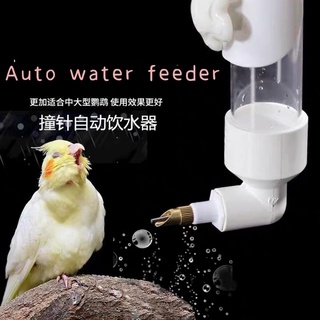 New auto bird water feeder. Small ideal for love bird and budgie Big ideal for conure senegal and Indian ring neck. Shopee Singapore