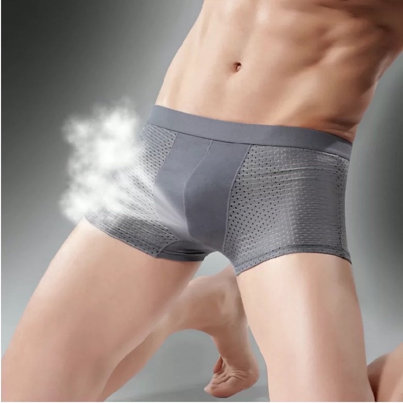 Mens Breathable Mesh Underwear, Ice Silk Cool Boxer Briefs