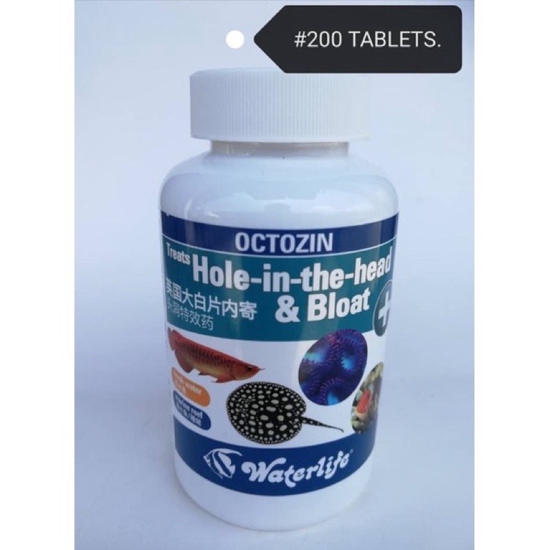 Waterlife Octozin Hole-In-The-Head & Bloat Treatment 200tablets ...