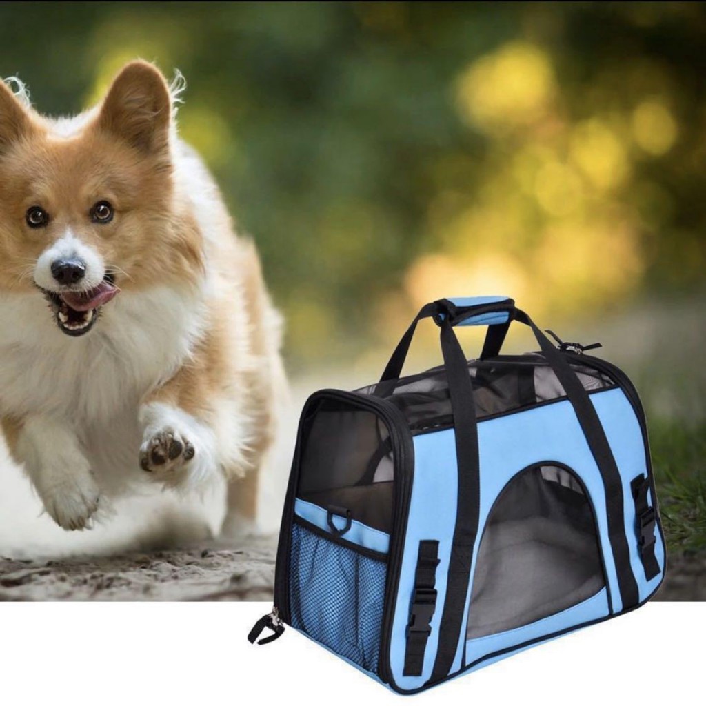 Dogs Cats Bags Dog Carrier Zipper Lock Collapsible Cat Carrier Puppy Kittens Bag Pet Travel Carriers for Cats and Dogs Shopee Singapore