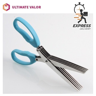 Herb Scissors Set 5 Blades Herb Scissors With Herb Stripper 7 Blades Onion  Scissors Stainless Steel Vegetable Scissors - Fruit & Vegetable Tools -  AliExpress