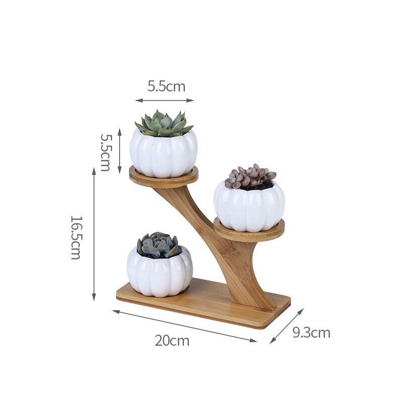 Ready Stock! succulent pots / cactus pots | Shopee Singapore