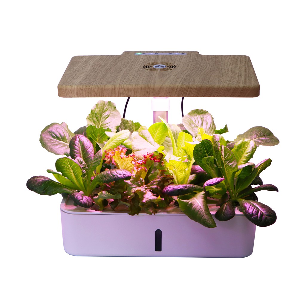 Steve & Leif Dual Function Intelligent Seed Planter 12s (Hydroponic ...