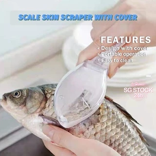 fish scale - Prices and Deals - Apr 2024