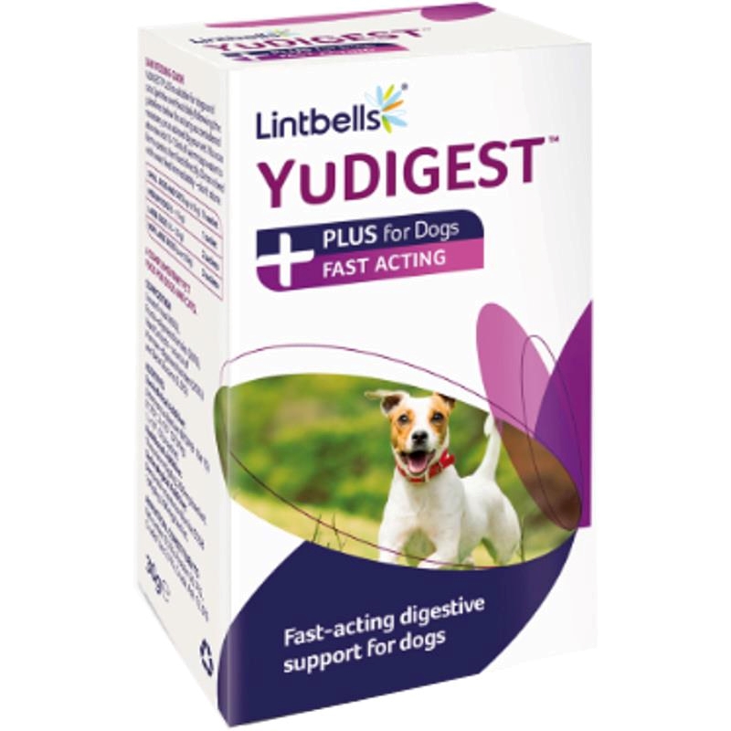 LINTBELLS Yudigest Plus Fast Acting Digestive (6X5G Sachets) Shopee