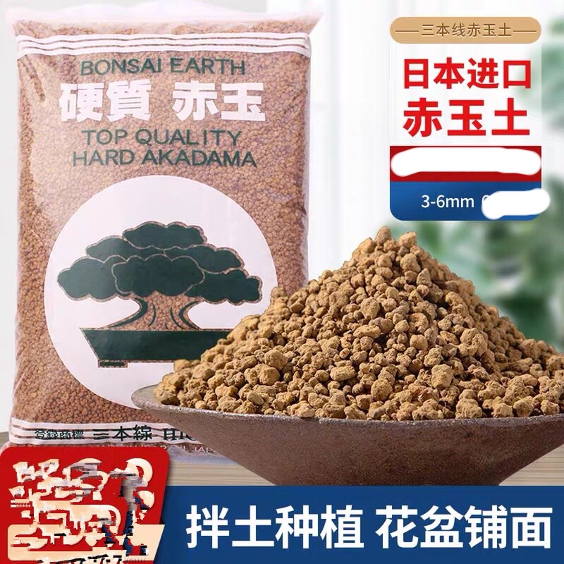 Akadama Ibaraky - Substrat Japonais Neutre Pour Bonsai, Grain Fin-moyen