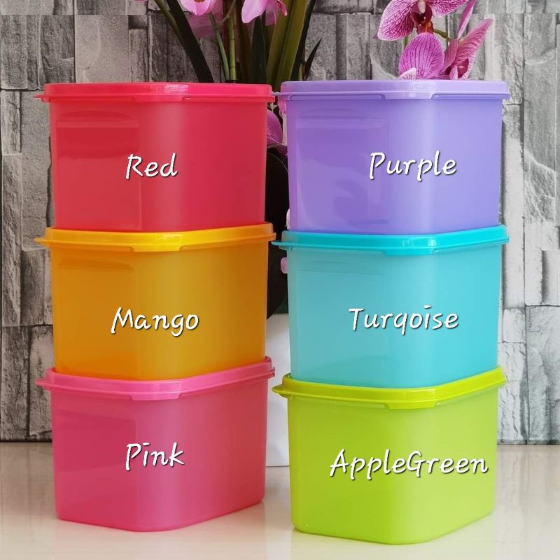 TUPPERWARE Modular Mates Rectangular II 1.9L (1pc) Tupperware Container ...