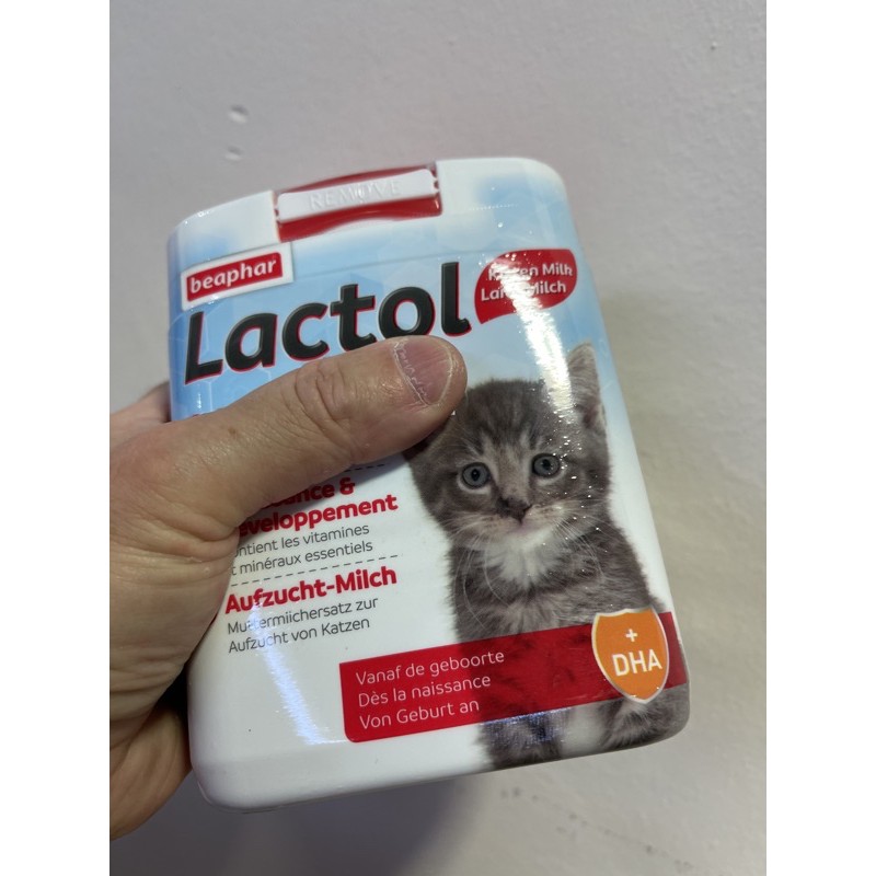 Lactol kitten 2024 milk powder