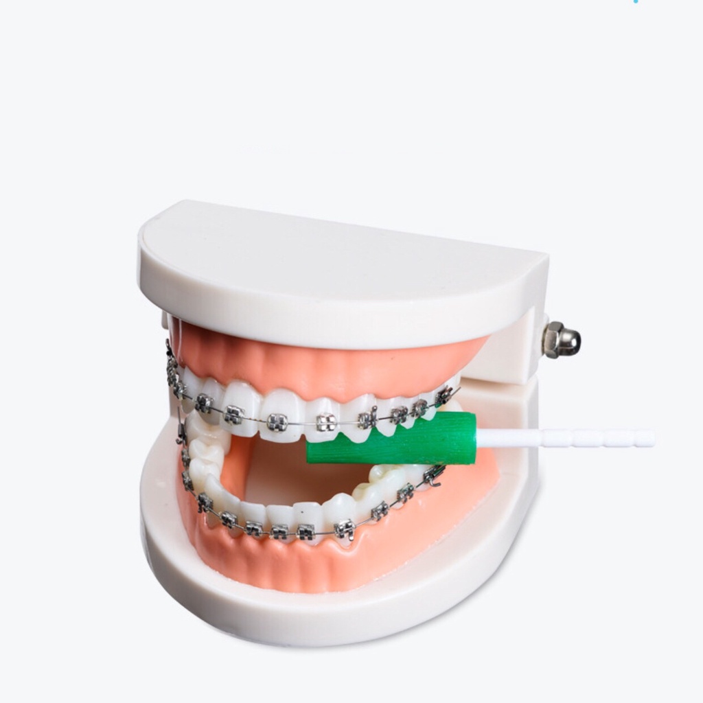 2023 DENTAL ORTHODONTIC Aligner Tray Seater/Aligner Chewies (Random