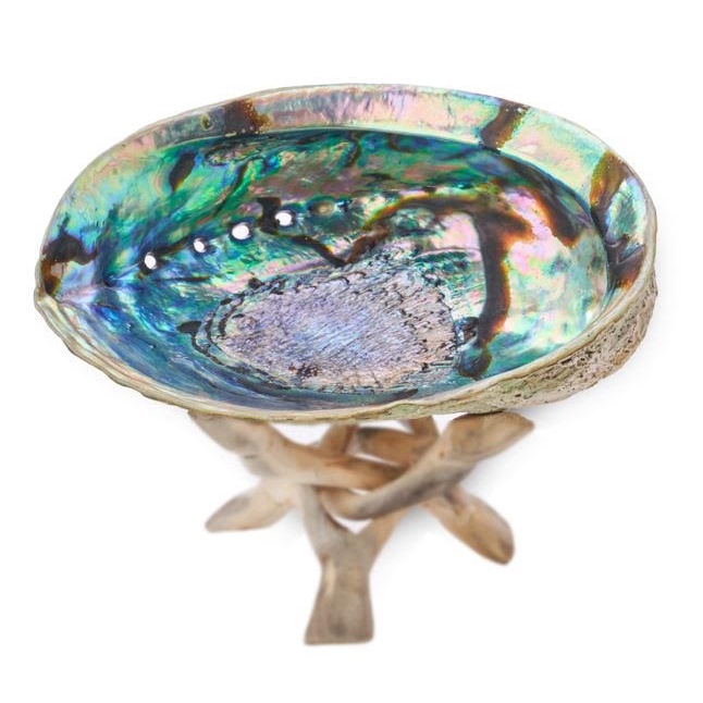 Natural Abalone Shell Smudging Bowl for sage sticks Palo Santo Resin ...