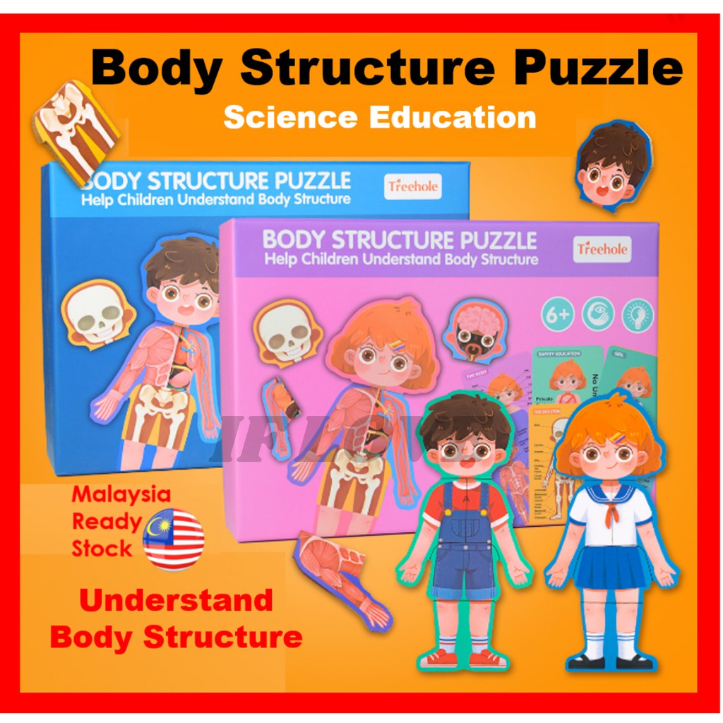 Kids Puzzle Educational Toys for Kids Science Educational Toys Kids ...