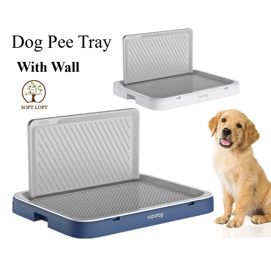 Dog Trainers Potty Training Older Dogs How Do You Potty Train An