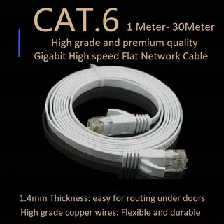 1M 5M 10M 15M 20M 30M Cat 6 Ethernet Cable Flat Long High Speed Network  Cable