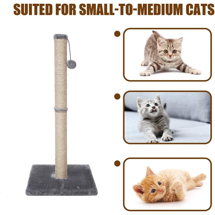 Cat hotsell scratcher shopee